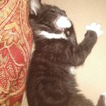 Profile Picture of Kimberly Wolfe (@kimberly_wolfe_06) on Instagram