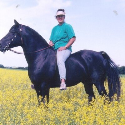 Profile Picture of Sandy Berge (@sablemorgans) on Twitter