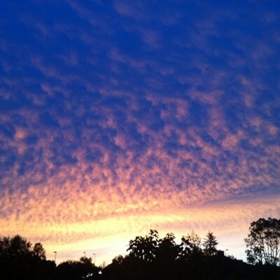 Profile Picture of Jose Arcelay (@JoseArcelay) on Twitter