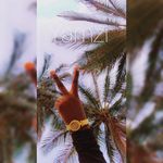 Profile Picture of Mariama Sawaneh (@sawanehyamzi) on Instagram