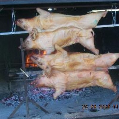 Profile Picture of domenico gaudio (@domenicogaudio1) on Twitter