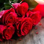 Profile Picture of Sowmya Shetty (@sowmya_shetty_m) on Instagram