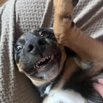 Profile Picture of Brady Brohman (@brady.brohman.2025) on Facebook