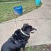 Profile Picture of Christy Claypoole (@christy.claypoole.35) on Facebook