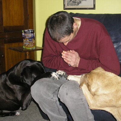 Profile Picture of Roy Olson (@Reo9953) on Twitter