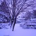 Profile Picture of Gabriel Gendron (@eric.gendron.100) on Facebook