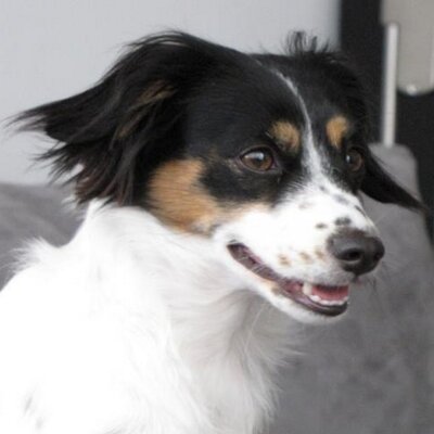 Profile Picture of Yoram Cohen (@Yorambuba) on Twitter