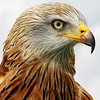 Profile Picture of J Bloggs UK (@J Bloggs UK) on Flickr