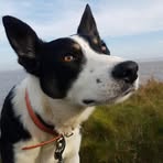 Profile Picture of Tom Pugh (@tom.pugh.3720) on Facebook