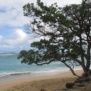 Profile Picture of Jean Schrock Onisko (@Jean-Schrock-Onisko) on Facebook