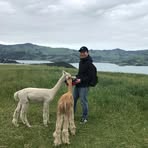 Profile Picture of Patrick Huang (@Patrick-Huang) on Facebook