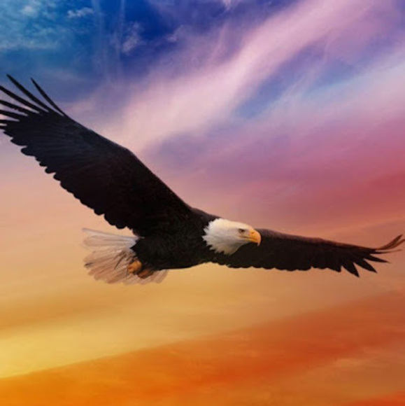 Profile Picture of Pedro Aquiar (@pedroaquiar6) on Poshmark