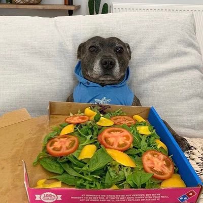 Profile Picture of Joe Danielle (@Joedanielle3) on Twitter