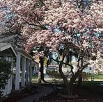 Profile Picture of Kenneth Vallee (@kenneth.vallee.5) on Facebook