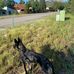 Profile Picture of David Palka (@david.palka.144) on Facebook