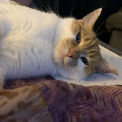 Profile Picture of Haley Sweazey (@HESweazey) on Youtube