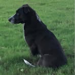 Profile Picture of Brett Beier (@brett.beier.79) on Facebook