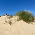 Profile Picture of Lukas Steenbrink (@lukassteenbrink) on Instagram