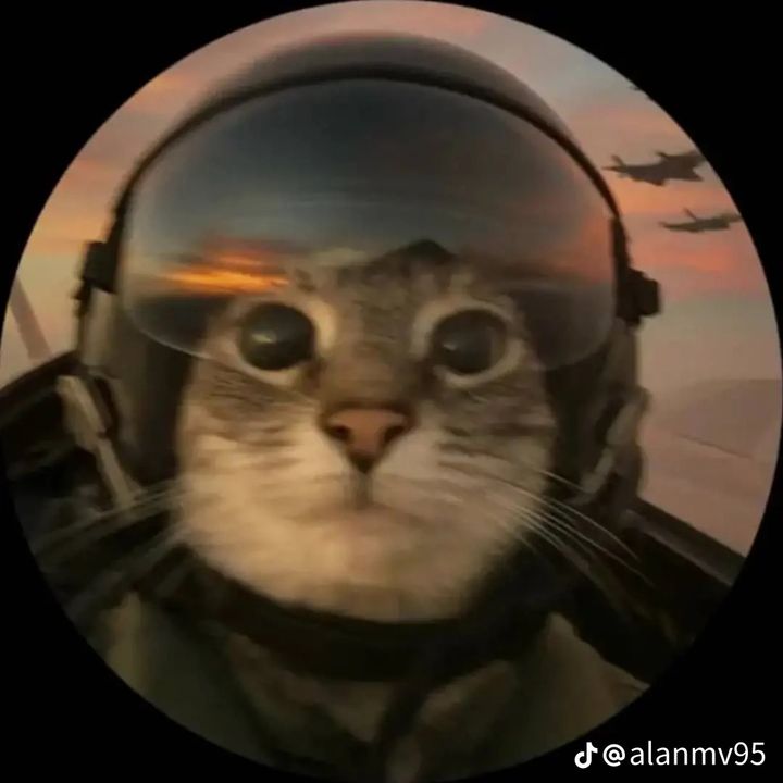 Profile Picture of Will (@williamhounsell3) on Tiktok