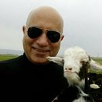 Profile Picture of David davoodi (@s.d.davoudi) on Instagram