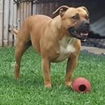 Profile Picture of Damien Spencer (@spencer_damien) on Instagram