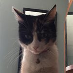 Profile Picture of Gaelinho el putillo 🤑🙈👑🇧🇷 (@christopher_gaelin) on Instagram