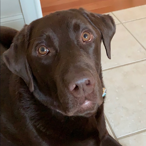 Profile Picture of Christine Bonnette (@cbonnette56) on Poshmark