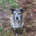 Profile Picture of Foster Brady Farm (@fosterbradyfarm) on Instagram
