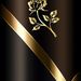Profile Picture of Bianca Kumar (@kumarbianca1) on Pinterest