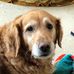 Profile Picture of Jonathan Boudreau (@jonathan.boudreau.5283) on Facebook