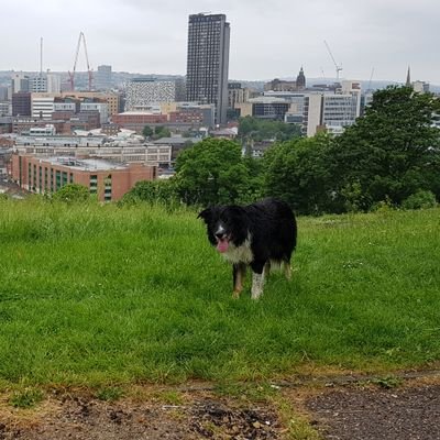 Profile Picture of Steve Twigg (@SteveTwigg5) on Twitter