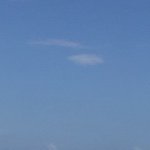 Profile Picture of Casey Markham (@caseydasey123) on Instagram