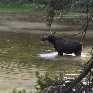 Profile Picture of Kyle Timmerman (@kyletimmerman) on Instagram