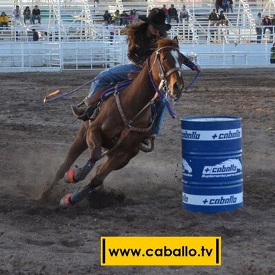 Profile Picture of Julia Meraz Loya (@JulieMeraz) on Twitter