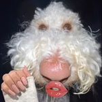 Profile Picture of Coby Gibson (@realcobygibson) on Instagram