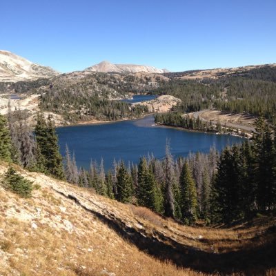 Profile Picture of Birgitta Andersson (@Birgitt33055719) on Twitter