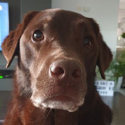 Profile Picture of Corinna Dünges (@CorinnaDunges) on Twitter