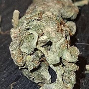 Profile Picture of Joe Brewer (@joebrewer9101) on Youtube