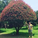 Profile Picture of 허춘호 (@heocunho) on Instagram