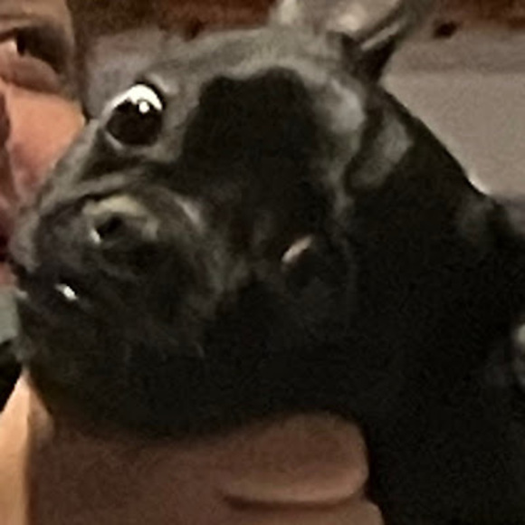 Profile Picture of James Corcoran (@jamescorcora863) on Poshmark