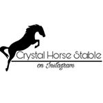 Profile Picture of 💎GIVEAWAY AT 500💎 (@crystal.horse.stable) on Instagram