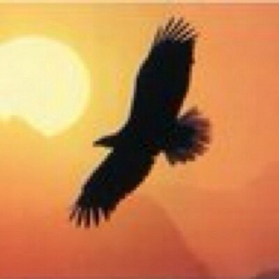 Profile Picture of Antonio Muraca (@AntonioMuraca68) on Twitter