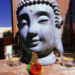 Profile Picture of Weed Buddy (@weedowb) on Instagram