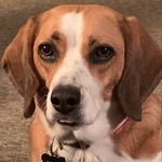 Profile Picture of Brandon Loudermilk (@bloudermilk92) on Instagram