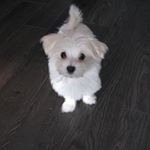 Profile Picture of Jesse Egan (@jesselegan) on Instagram
