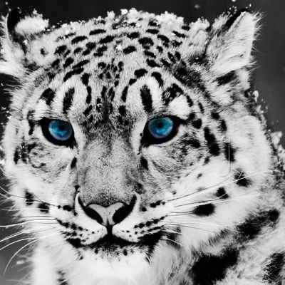 Melody John - Twitter Profile Picture of Melody John (@MelodyJohn8) on Twitter