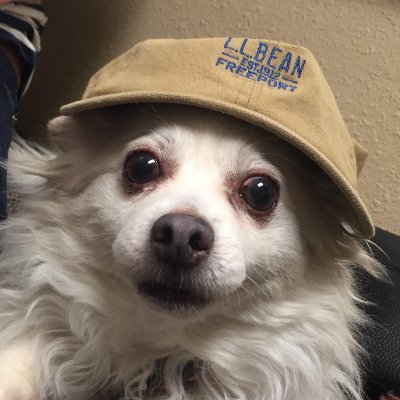 Profile Picture of Sam Gianino (@SamGianino1) on Twitter