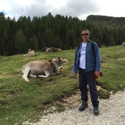 Profile Picture of Yanai Senderovitz (@YSanderovich) on Twitter