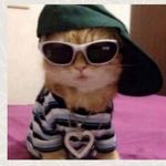 Profile Picture of A A R O N (@wilmotron) on Instagram