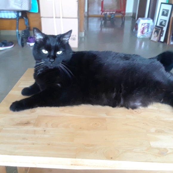 Profile Picture of Georgia Craggs (@gigi138) on Poshmark